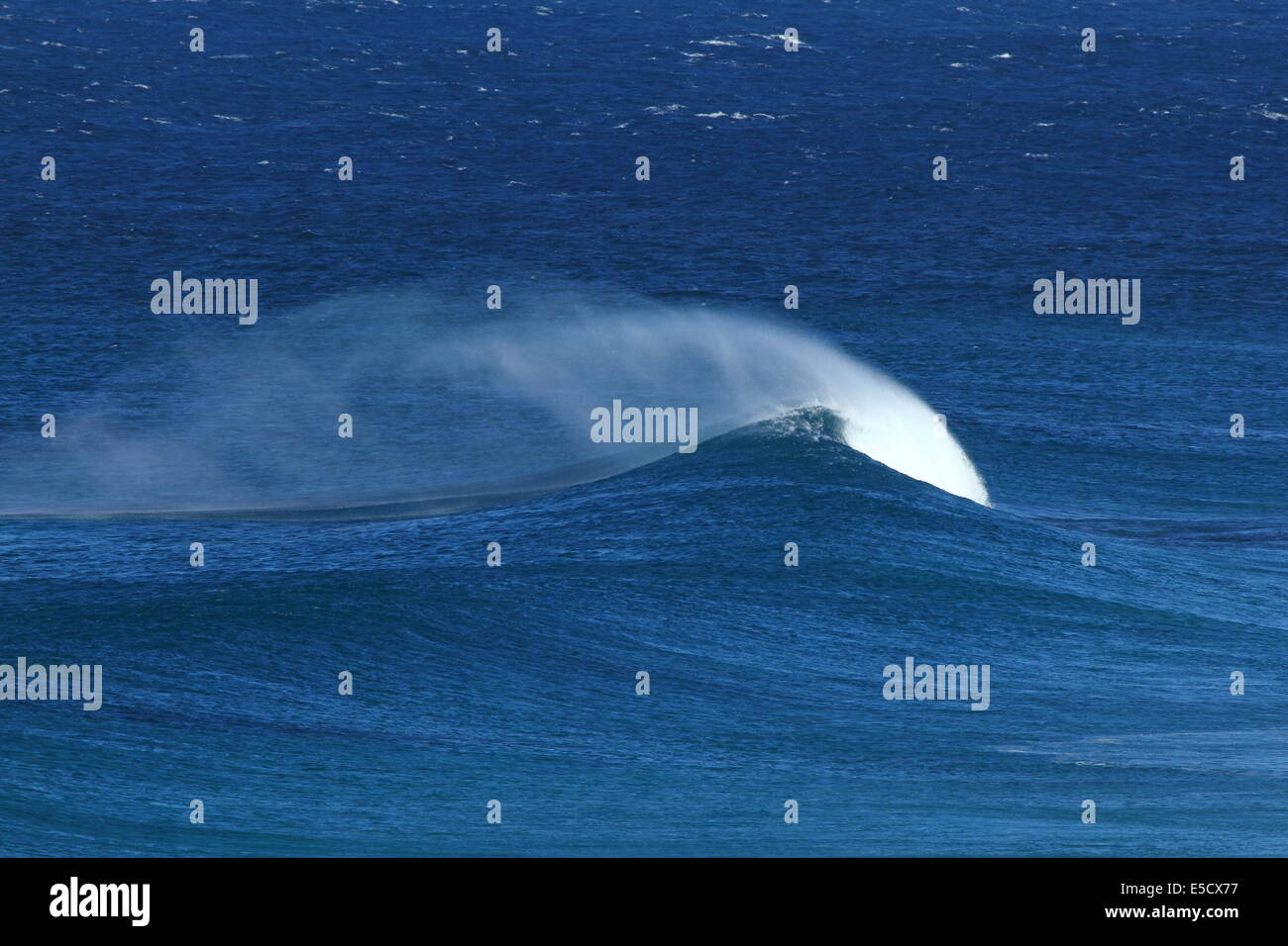 Dünung und Wellen an einem stürmischen Tag am Indischen Ozean, Western Australia. Stockfoto