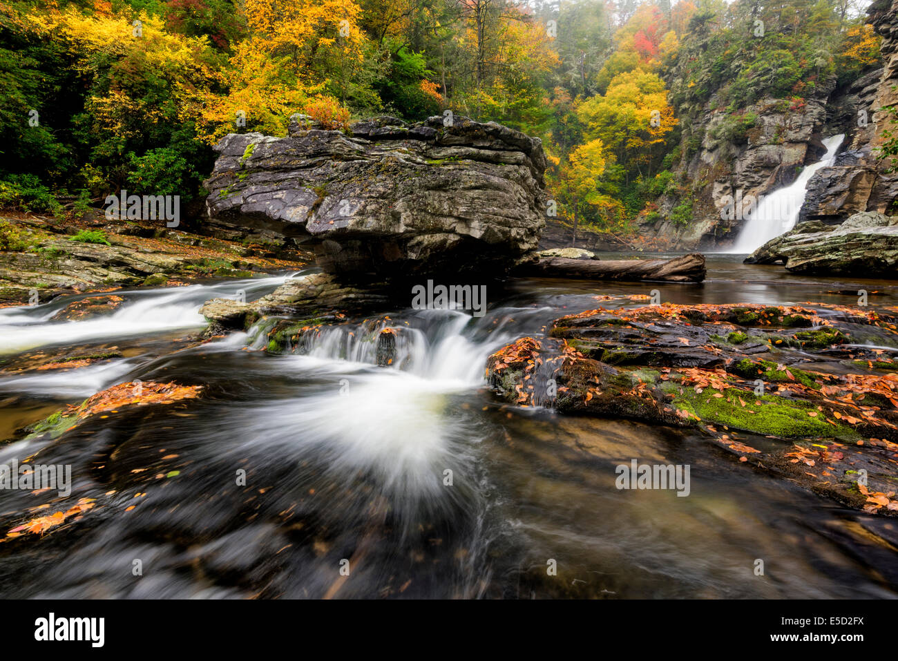 Linville fällt im Herbst Stockfoto