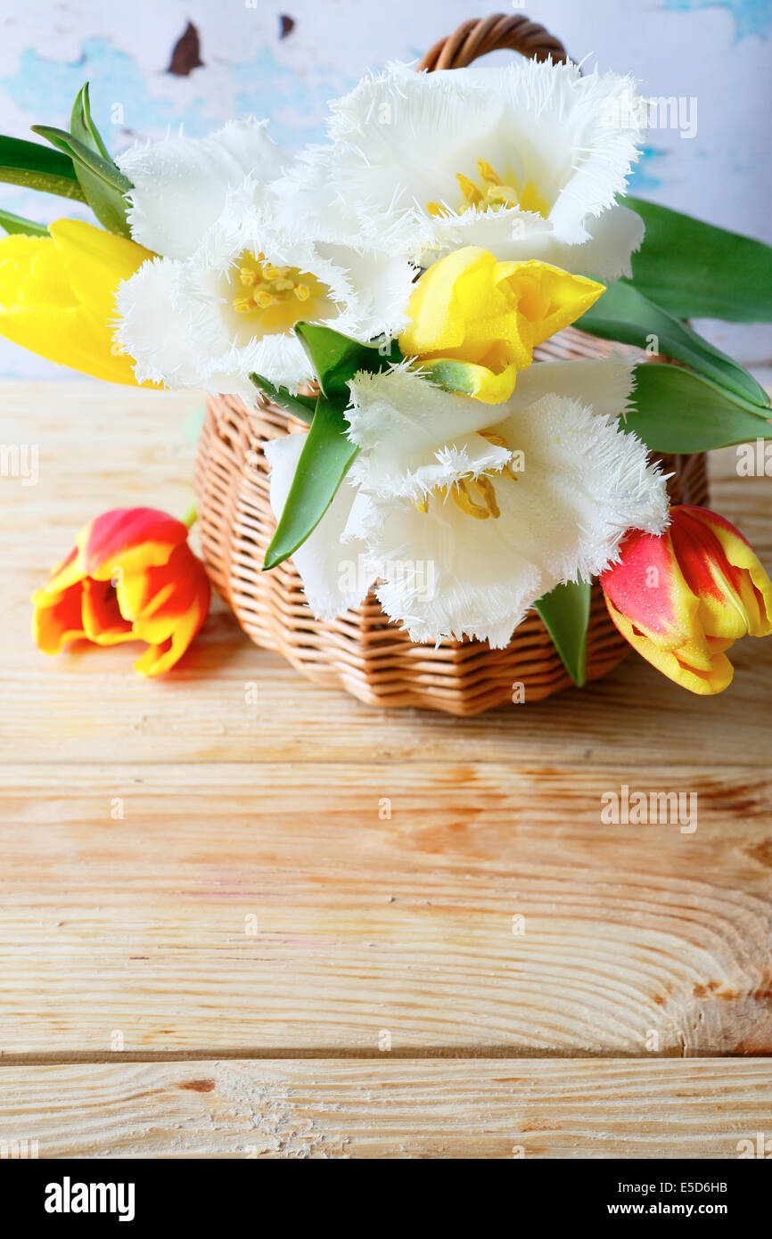 Frühlingsstrauß Tulpen in einem Korb, Blumen Stockfoto