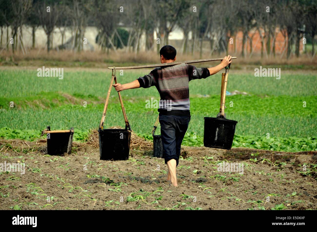 JIU-CHI-TOWN, CHINA: Landwirt Wassertragen Eimer in einem Feld auf seinem Hof Stockfoto