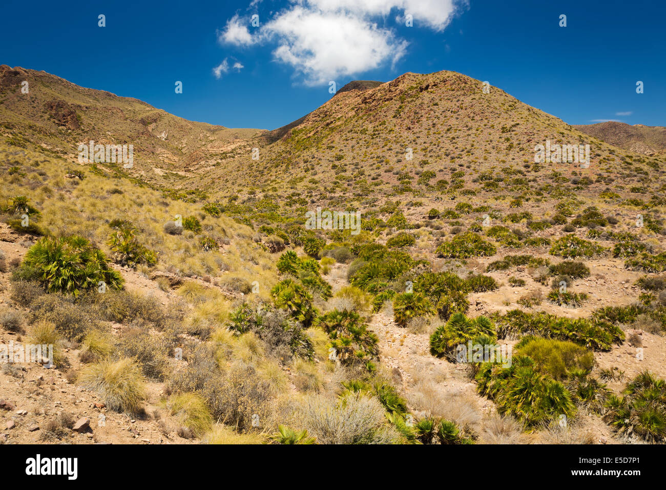 Nationalpark Cabo de Gata, Andalusien, Spanien Stockfoto