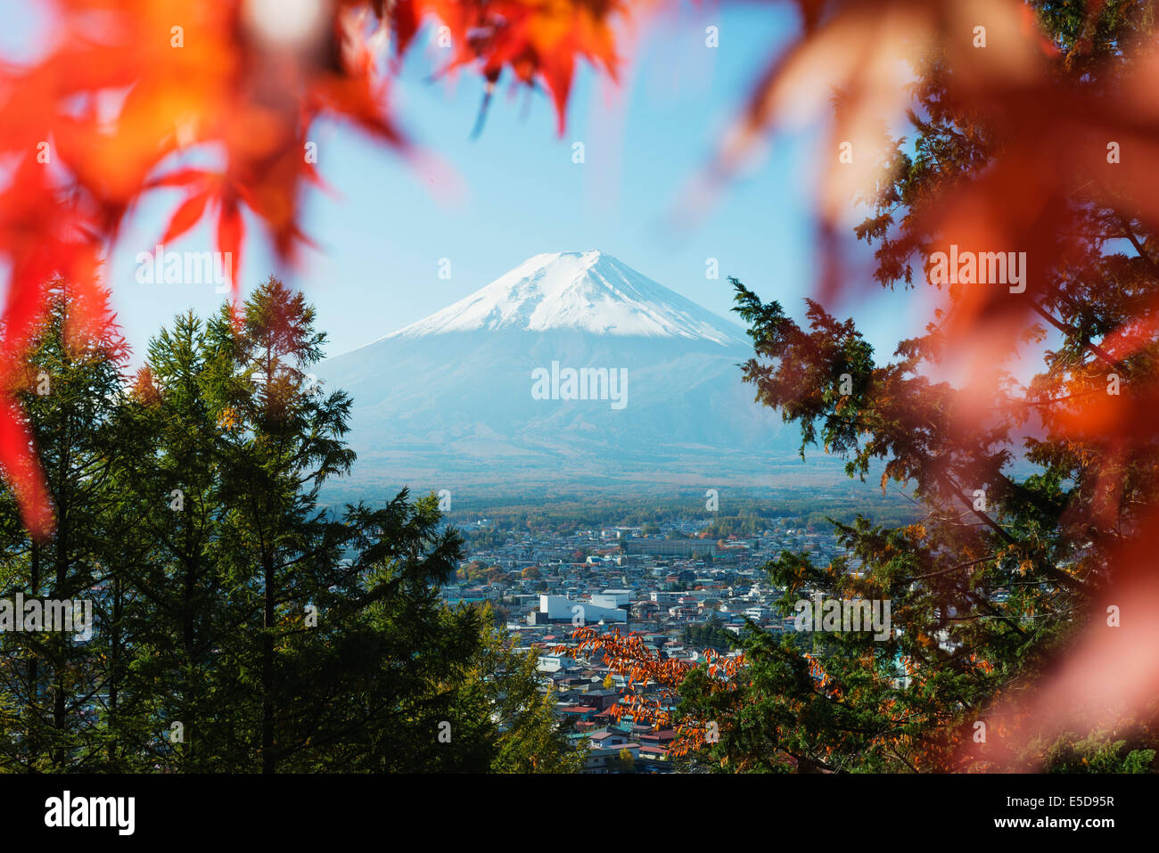 Asien, Japan, Honshu, Mt. Fuji 3776m, Herbstfärbung, UNESCO-Weltkulturerbe Stockfoto