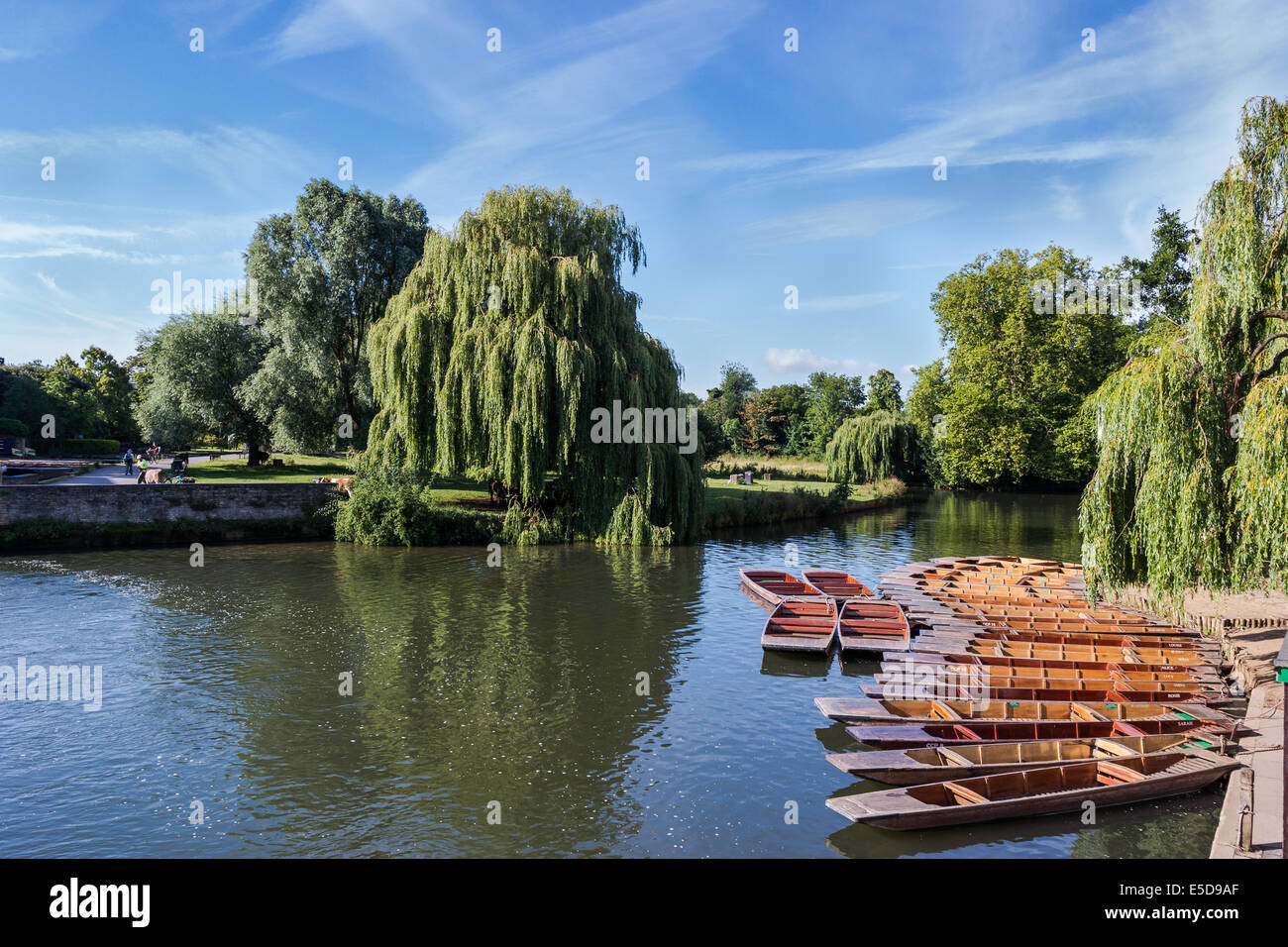 Stocherkähne vertäut am Fluss Cam, Cambridge, UK Stockfoto