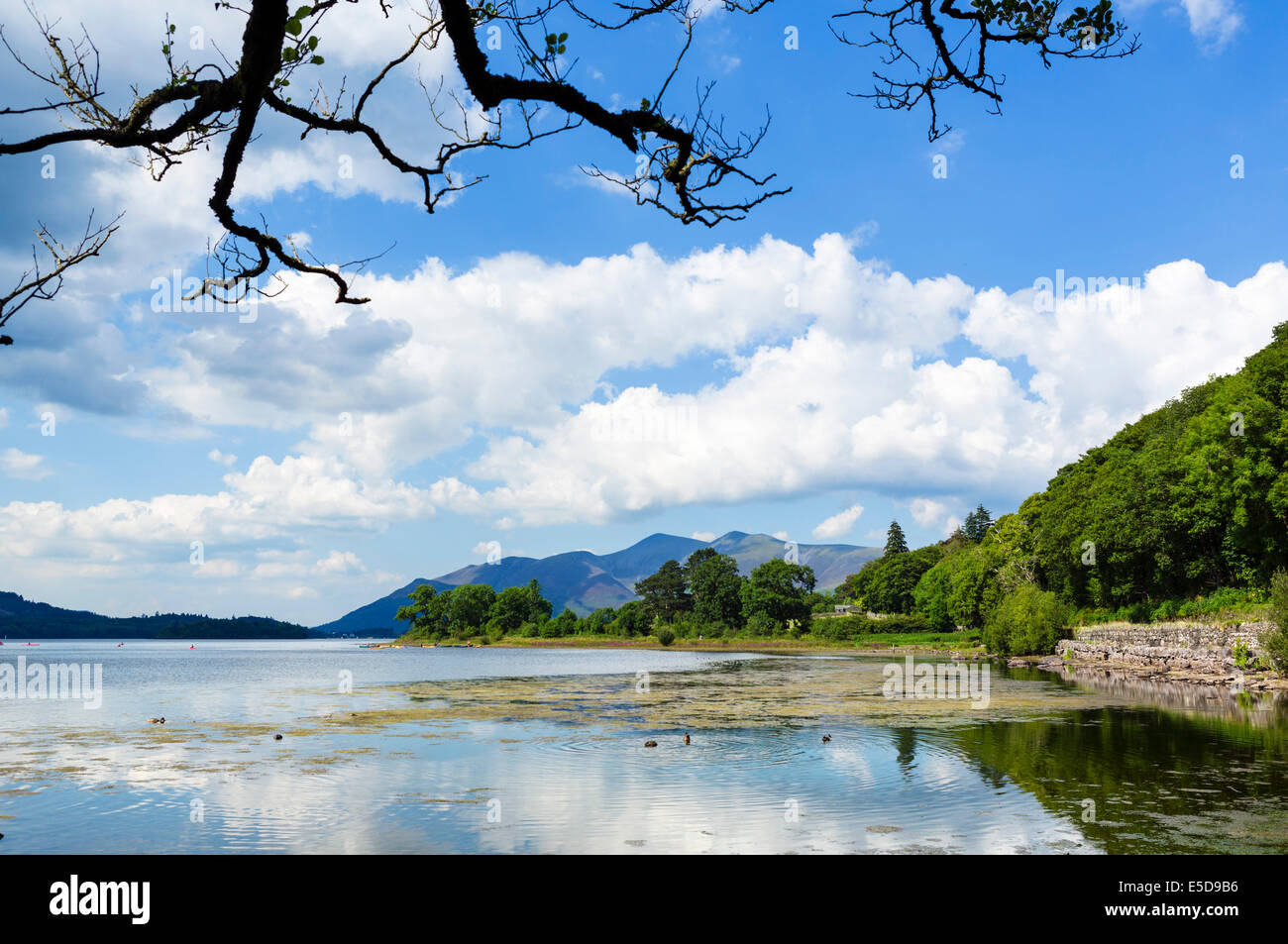 Skiddaw-massiv aus Derwentwater, Borrowdale, Lake District, Cumbria, UK Stockfoto