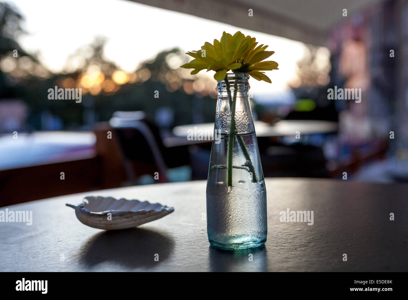 Stillleben mit Blumen in einer vase Stockfoto