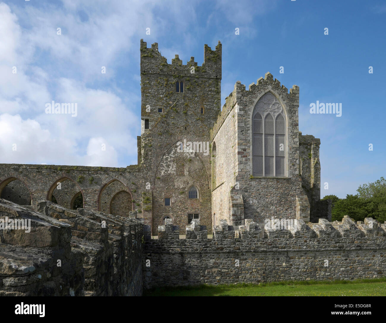 Ruinen von Tintern Abbey, County Wexford, Irland Stockfoto