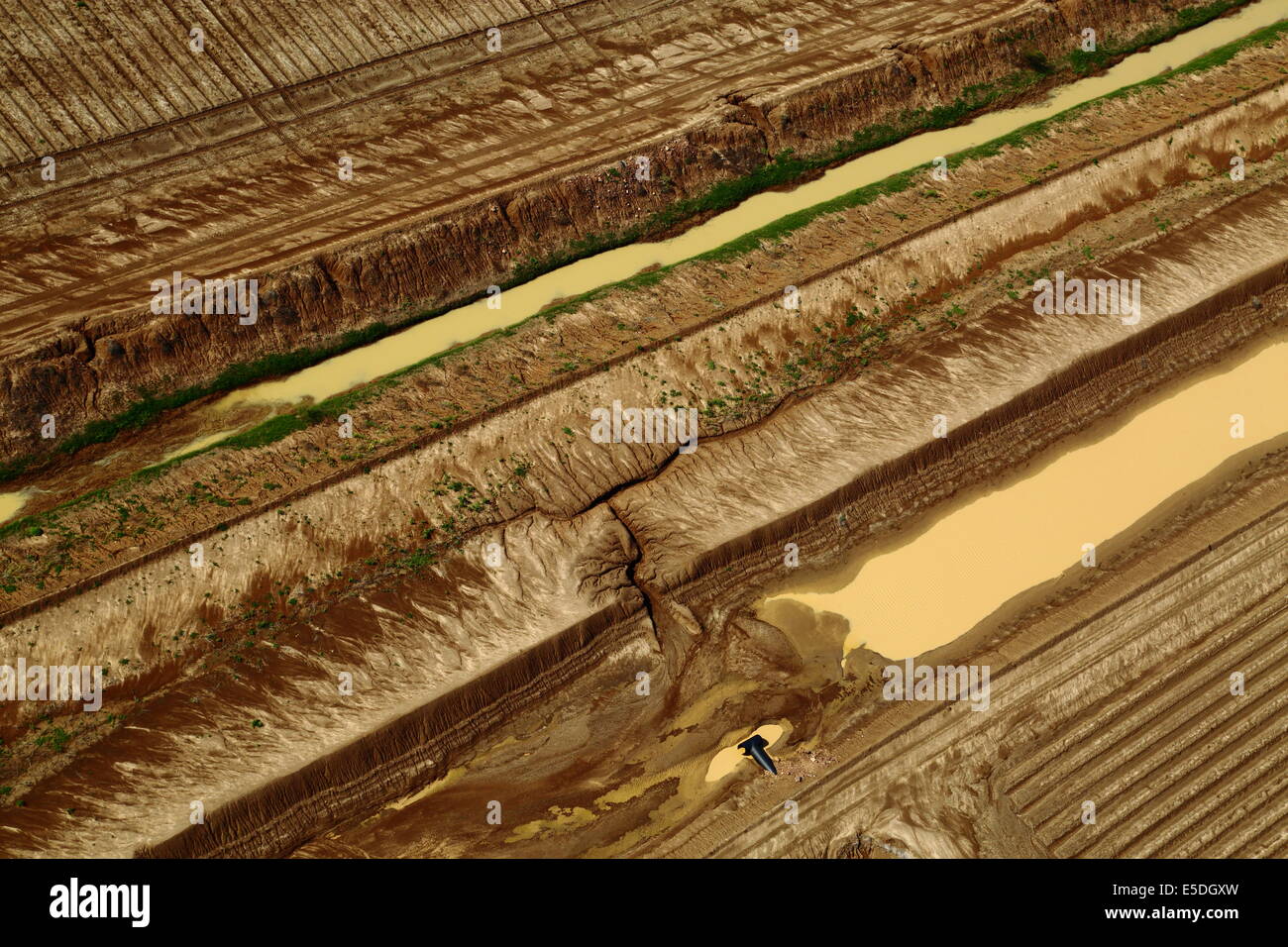 Ein Blick auf einen Teil der Felder von den Ord River Bewässerung Bereich, Kununurra, Western Australia. Stockfoto