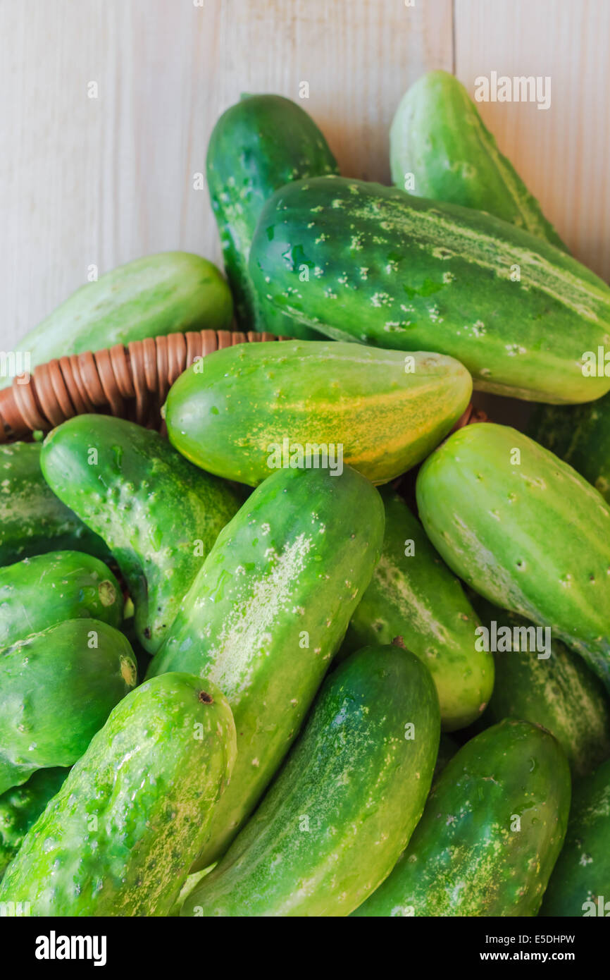 Viele frische grüne Gurken auf einem Holztisch Stockfoto