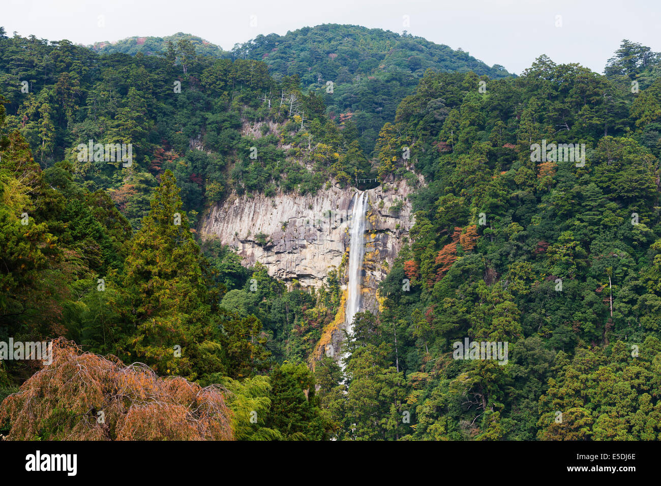 Asien; Japan; Honshu; Präfektur Wakayama; Nachi keine Taki Wasserfall Stockfoto