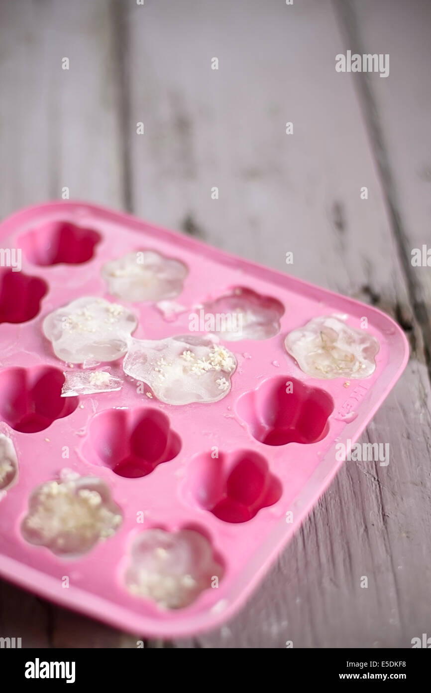 Eisblumen mit Holunderblüten in rosa Eiswürfelschale Stockfoto