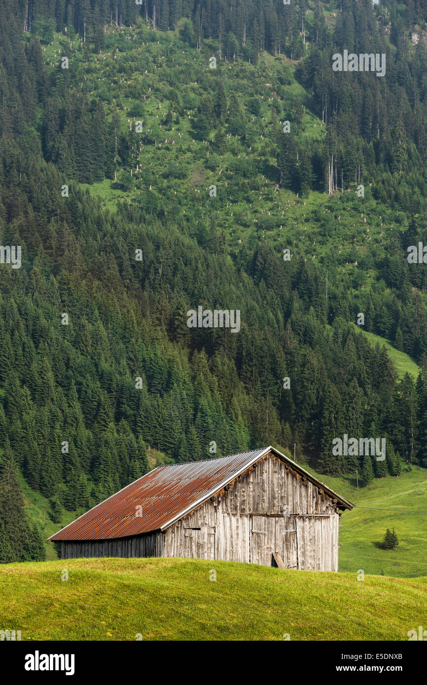 Österreich, Allgäuer Hochalpen, Holzhütte im Kleinwalsertal Stockfoto