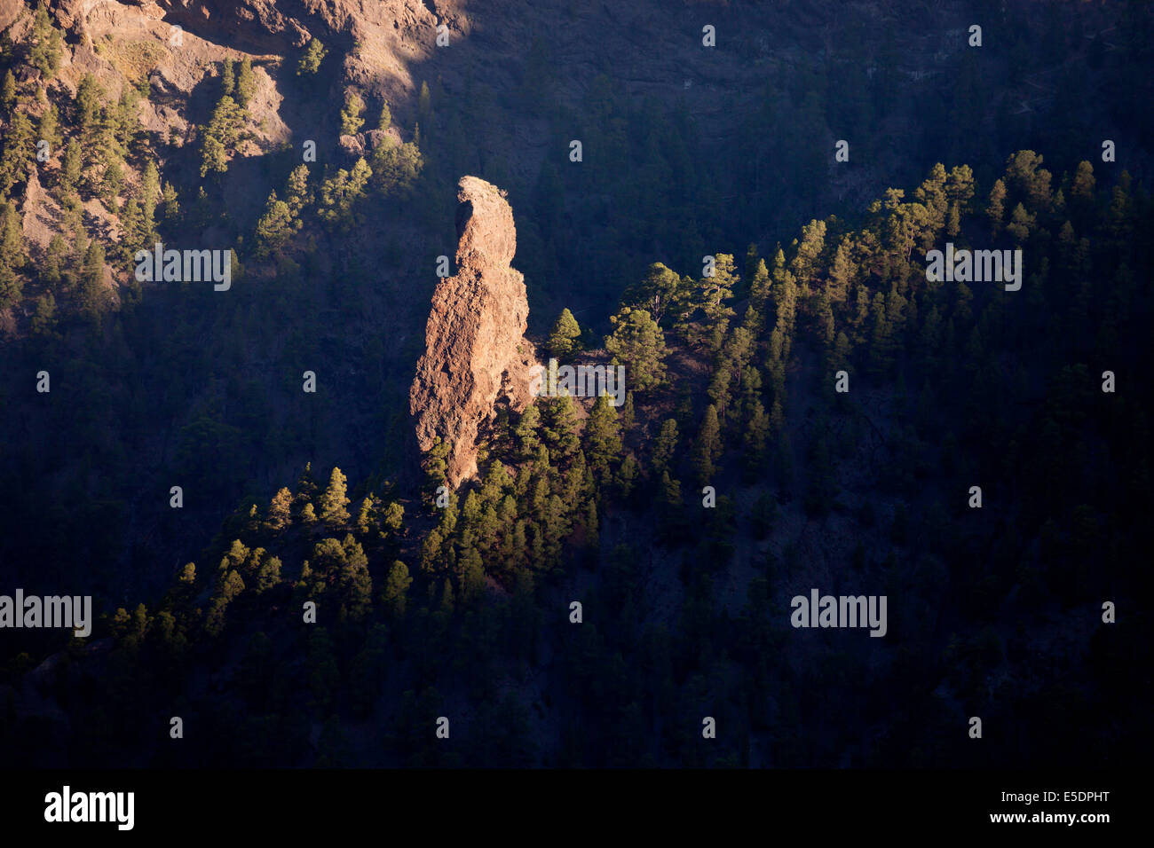 Blick von La Cumbrecita, über die Andscape im Inneren des Kraters, Caldera de Taburiente National Park, La Palma, Kanarische Inseln, S Stockfoto