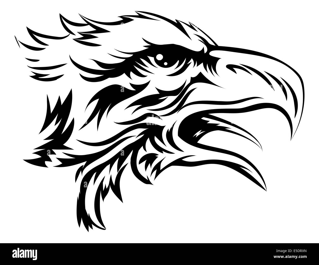 Adlerkopf wie ein Adler oder anderen Greifvogel Stockfoto