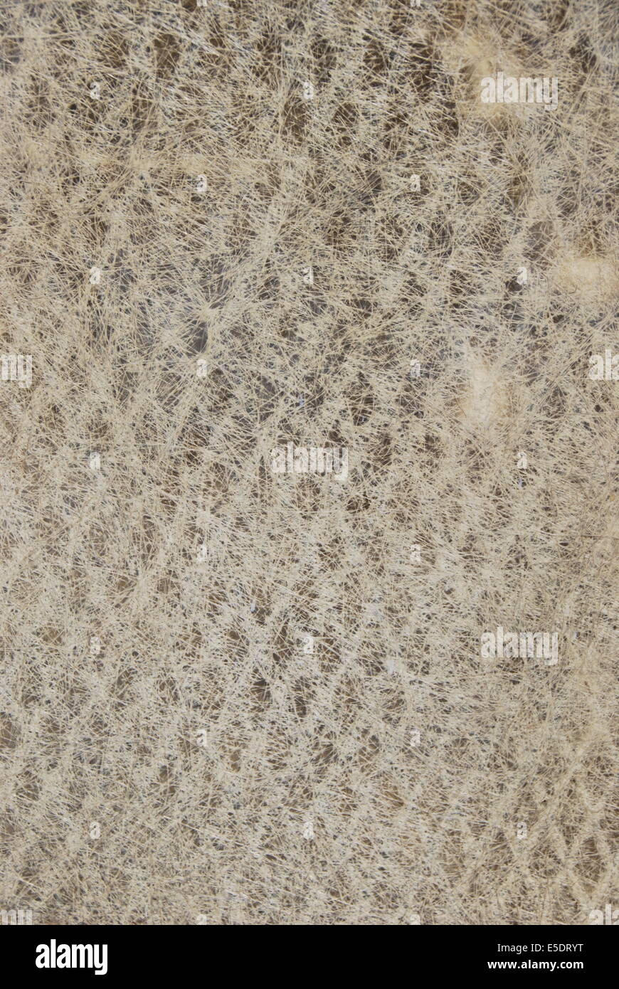 Oberflächendekoration. Diamant-Muster. Mesh-Design. Verblasst. Getragen, abstrakte Design. Creme und grau, schwarz und weiß. Stockfoto