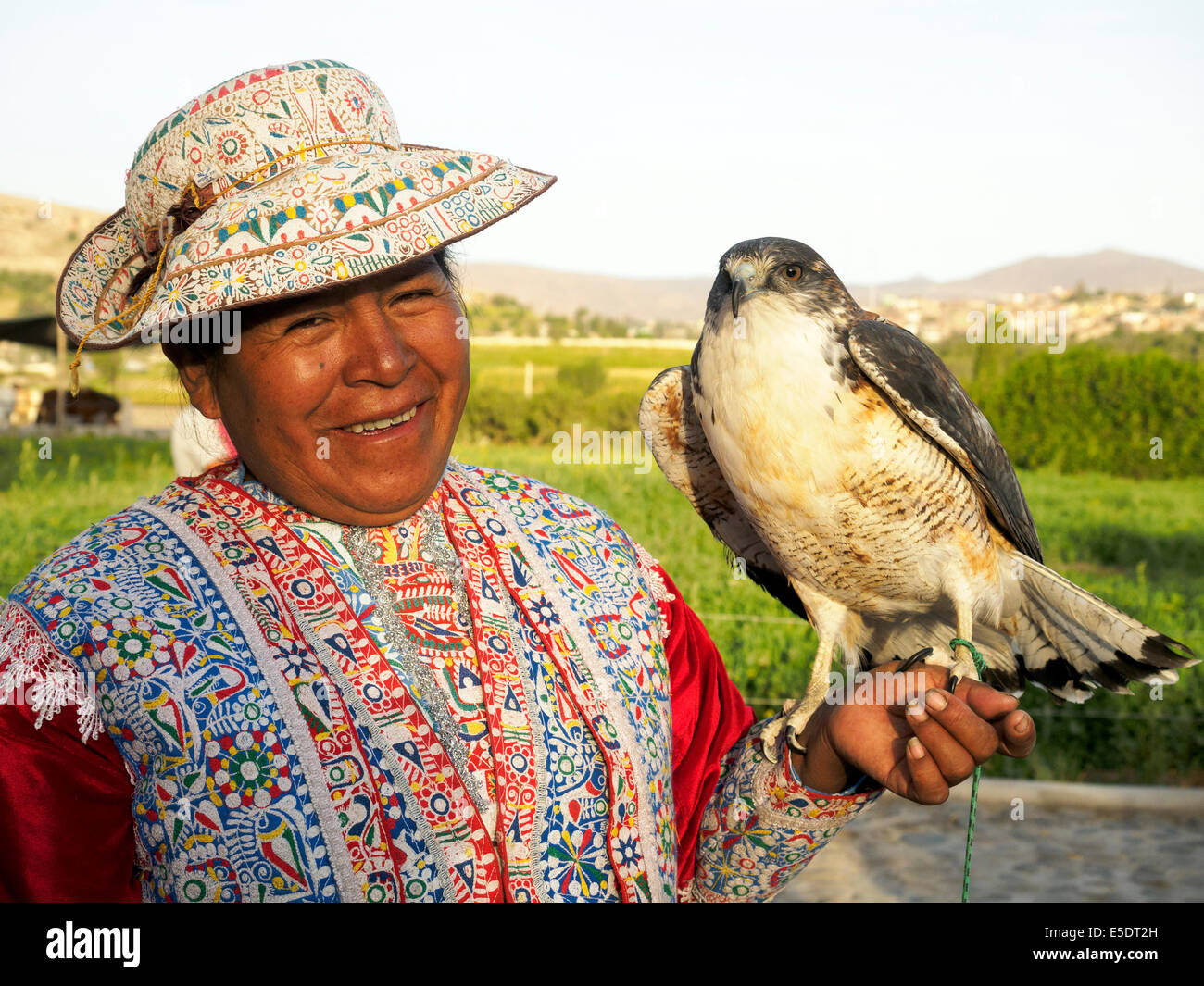 Peruanische Frau in traditioneller Kleidung mit ihrem Hawk - Arequipa, Peru Stockfoto