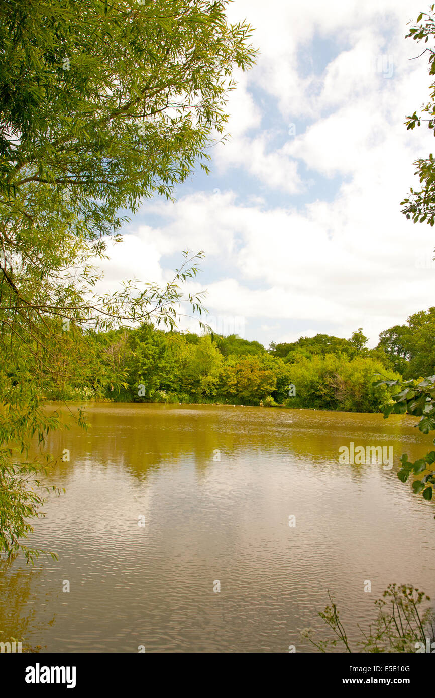 Angeln-See in Fram Field, East Sussex, UK Stockfoto