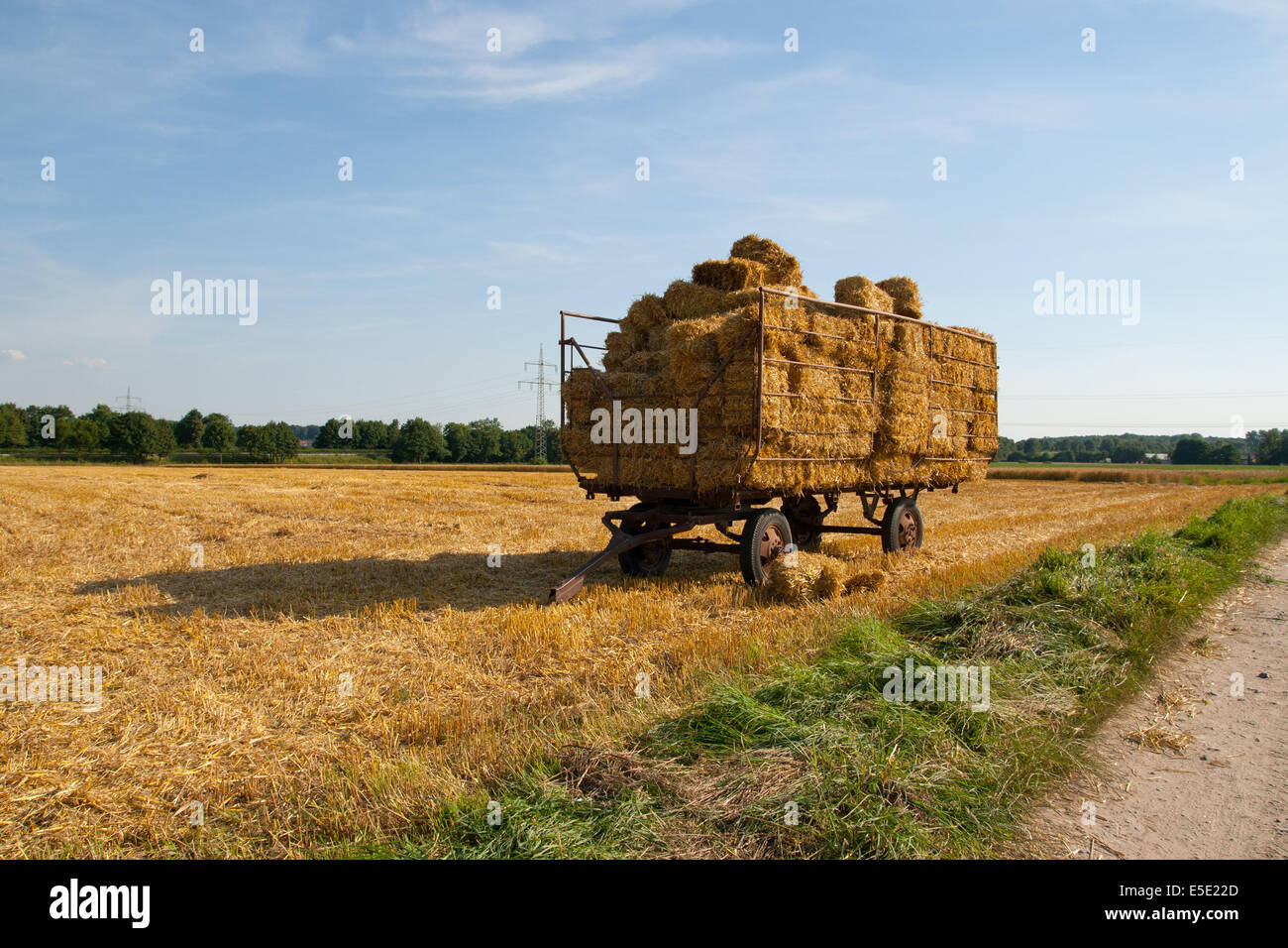Strohballen Strohwagen Ernte Ernten Stroh Ballen Wagen Trecker Traktor ...