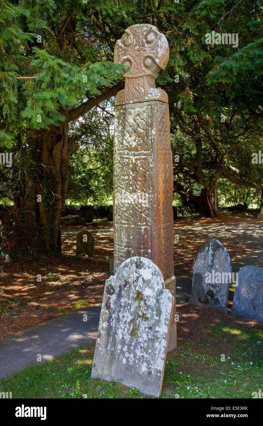 Keltisches Kreuz in Nevern Kirche, Nevern, Pembrokeshire, Wales Stockfoto