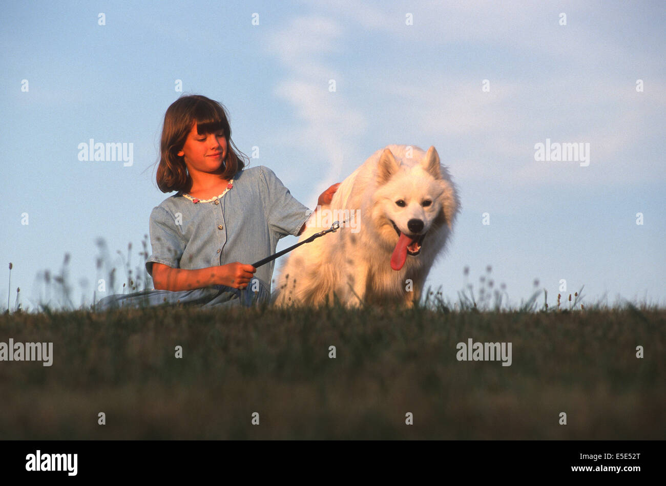 Schöne junge Mädchen posiert mit Hund. Stockfoto