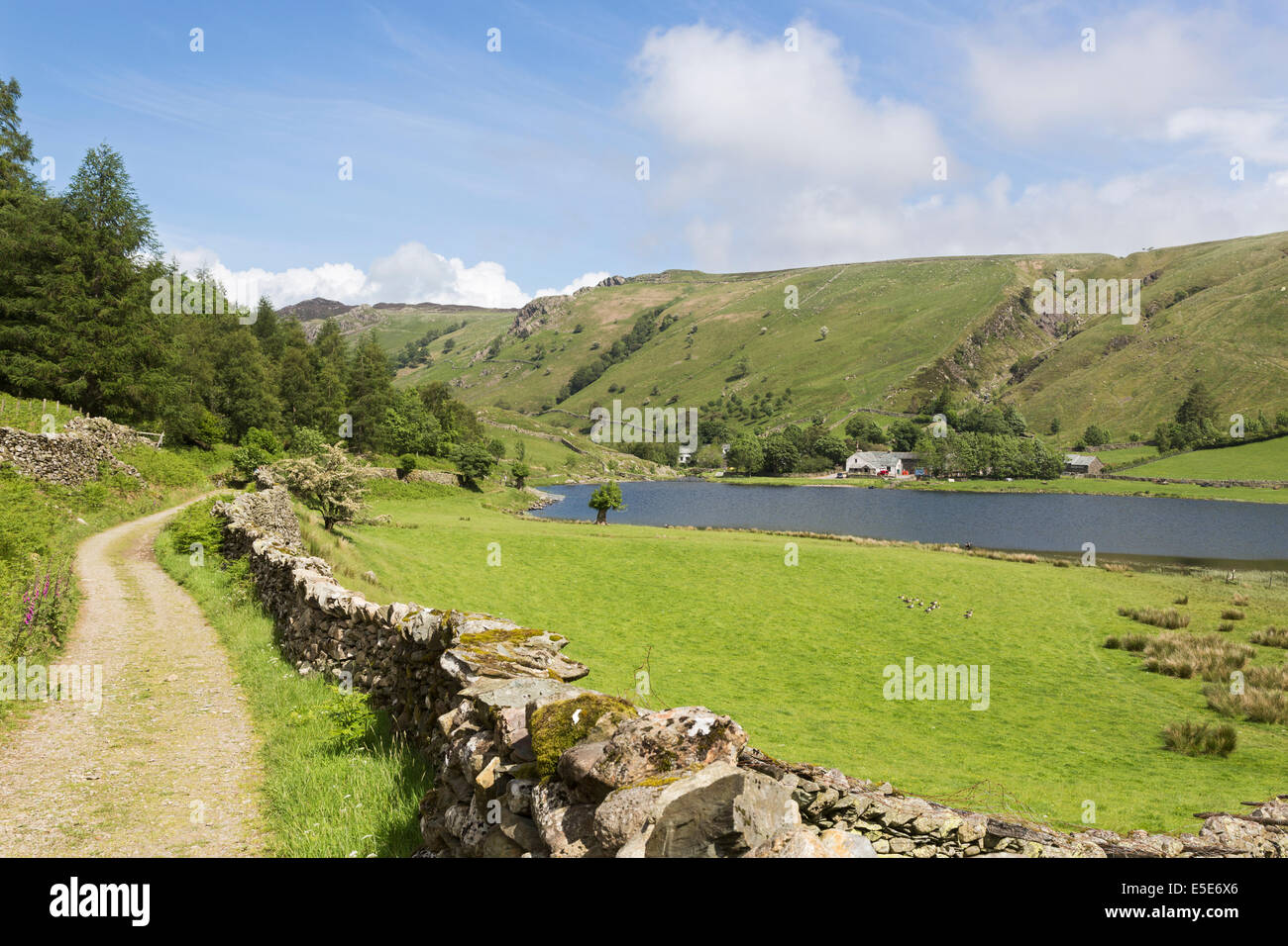 Track und Trockenmauern Wände am Watendlath Tarn, Borrowdale, Lake District, Großbritannien, im Sommer mit blauem Himmel und weißen Wolken Stockfoto