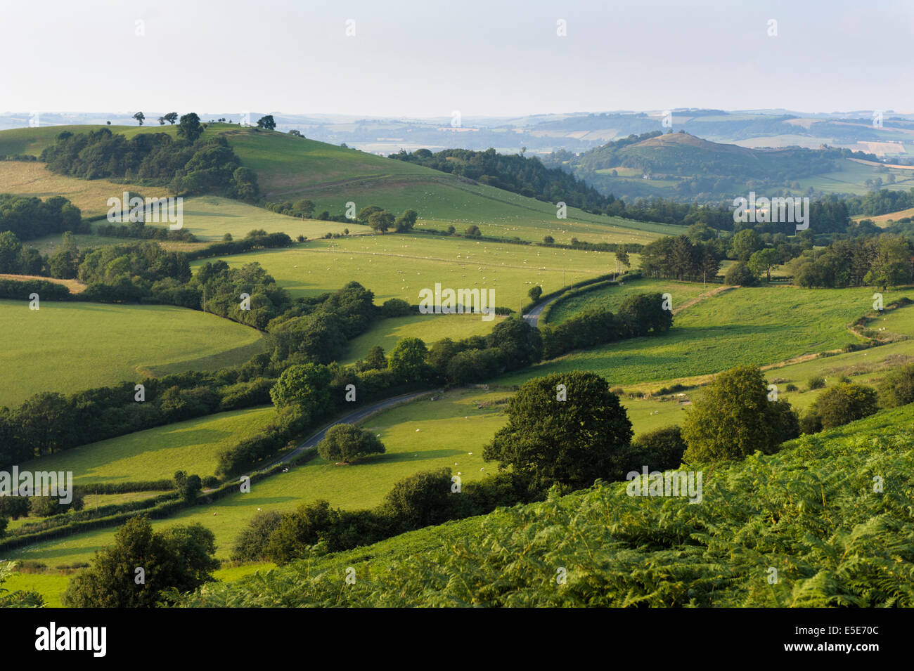 Abend-Blick der Schatten von Hergest Ridge im walisischen Grenzland, Powys, UK Stockfoto