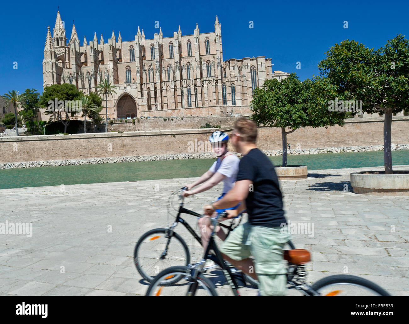 Palma Cycling Mallorca zwei Radfahrer fahren in der Nähe der Kathedrale von Palma im Parc de la Mar Altstadt von Palma Mallorca Spanien Stockfoto