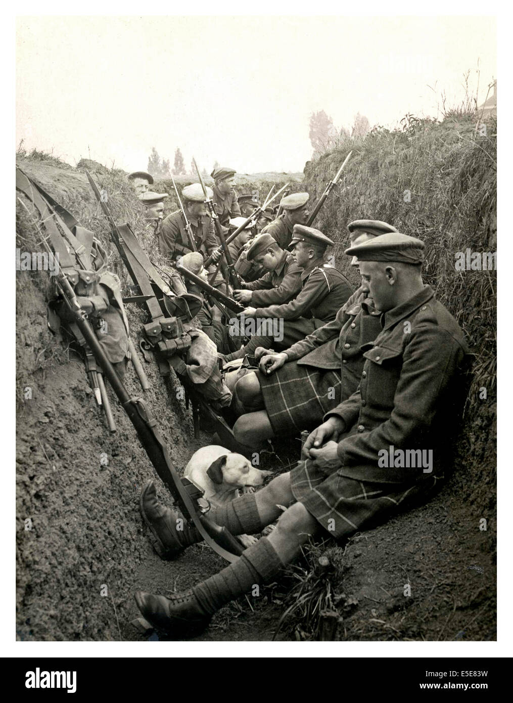Historisches Bild von der WW1 Highland beschreiben und ihr Maskottchen Hund warten zu "go over the Top" in einem Graben in Nordfrankreich Stockfoto