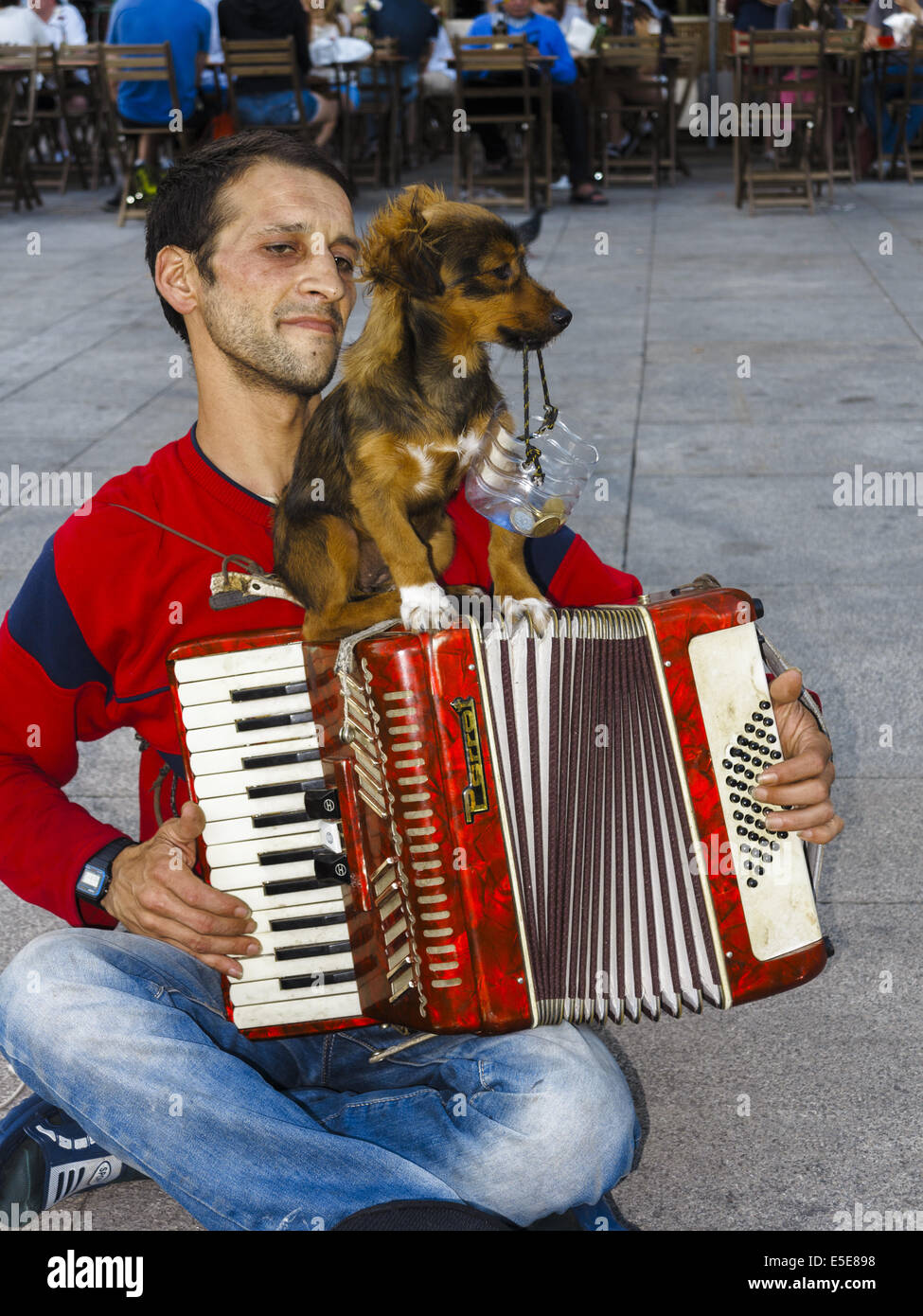 Akkordeon spielen Straße Entertainer mit seinem kleinen Hund hält die Spardose Stockfoto