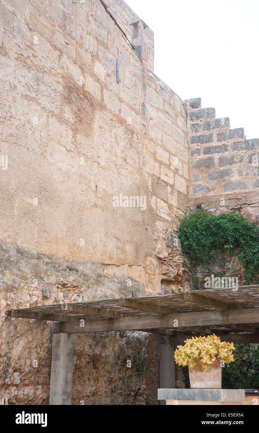 Einfachheit in einem Stein Wand Ecke mit gelben Blumen und grüne Pflanze. Mallorca, Balearen, Spanien. Stockfoto