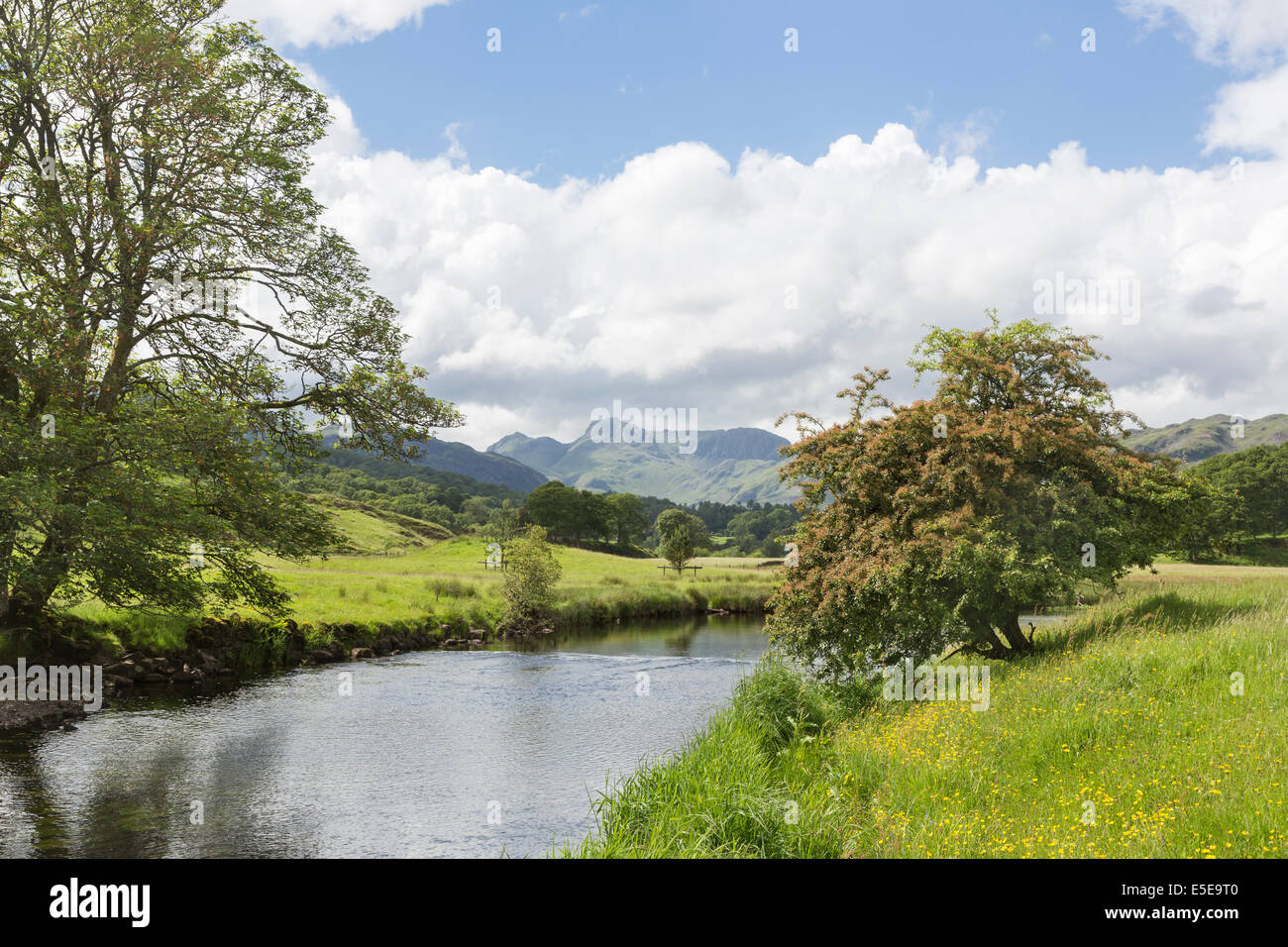 Schönen Sommer Blick auf die saisonabhängige als der Fluß Brathay fließt von Elterwater, Lake District, Cumbria, UK Stockfoto