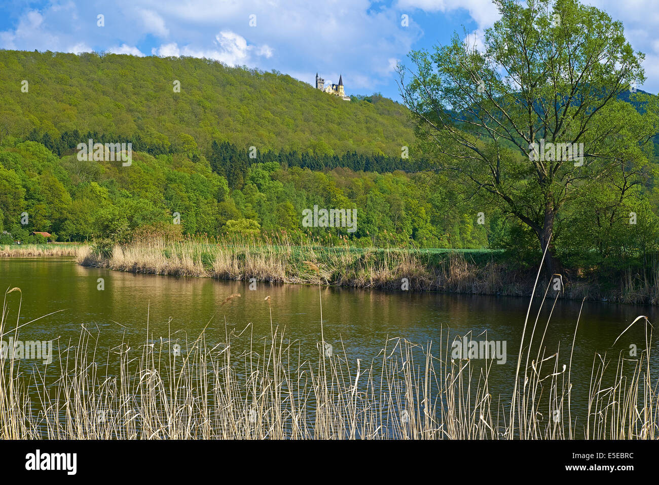Schloss Rothestein bei Bad Sooden-Allendorf, Hessen, Deutschland Stockfoto