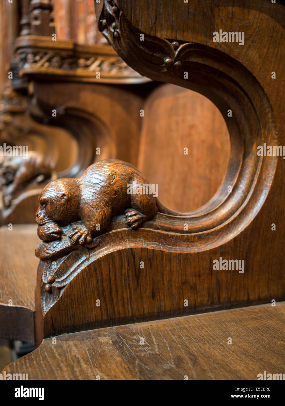 Das Thistle Kapelle schnitzen Detail eines Otters, St Giles Cathedral Stockfoto