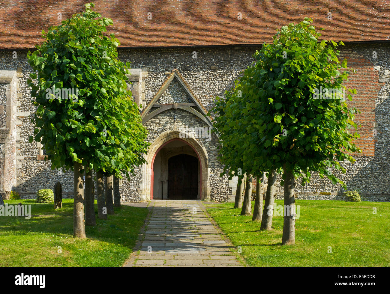 Bäumen gesäumten Weg, All Saints Church, Odiham, Hampshire, England uk Stockfoto