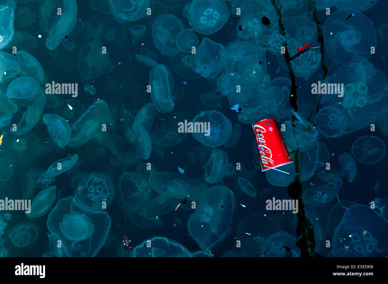 Eine Masse von Quallen, eine ausrangierte Coca-Cola Pappbecher und sortierten Kunststoff Trümmer schweben in den Bosporus in Istanbul. Stockfoto