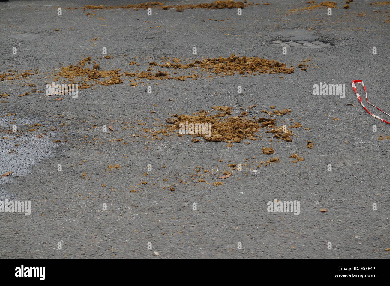 Pferdemist auf dem Boden auf der Avenue des Champs Elysees in Paris am Nationalfeiertag nach Militärparade links Stockfoto
