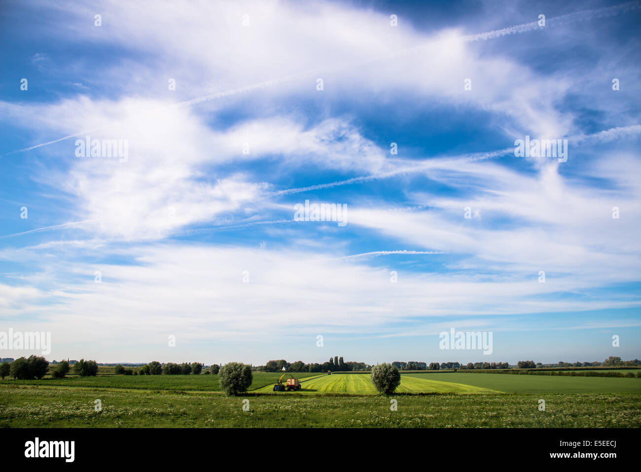 Traktor, verbreiten das Heu zum Trocknen in die Sonne Stockfoto