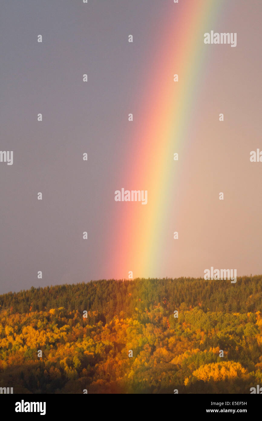 Regenbogen über den Sanguanay Fjord mit Bäumen zeigen Farben des Herbstes. Sanguanay, Kanada Stockfoto