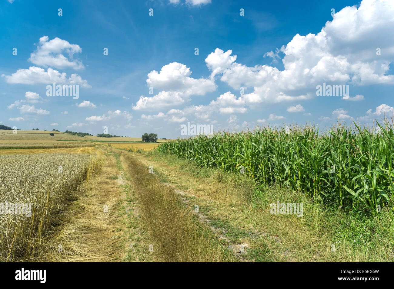 Niederschlesien Summer Landschaft in der Nähe von Strzegom Stockfoto
