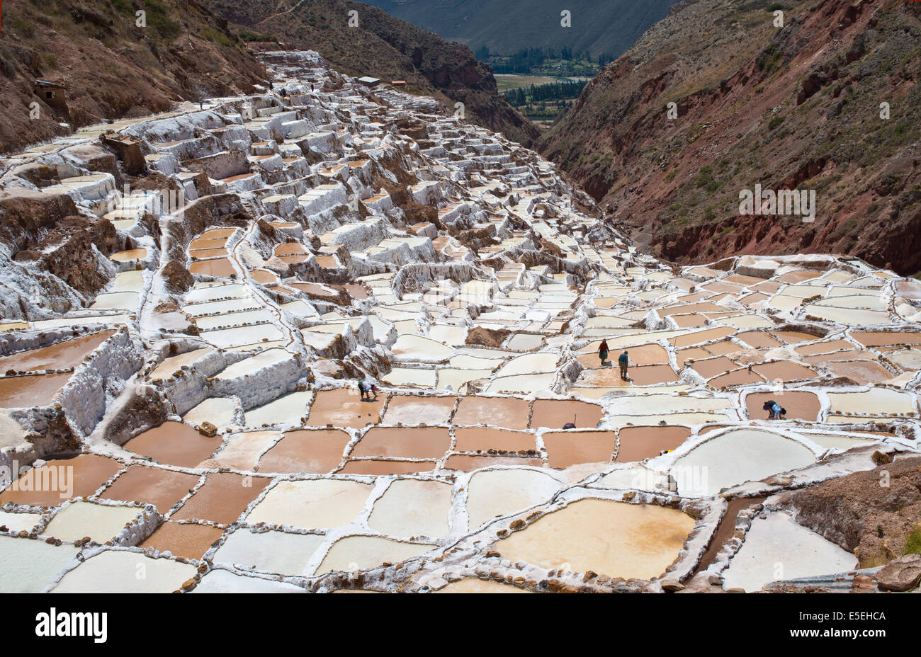 Salinas de Maras, Salinen an einem Berghang, gebaut von den Inkas und noch heute in Betrieb, Pichingote, Region Cusco, Anden Stockfoto
