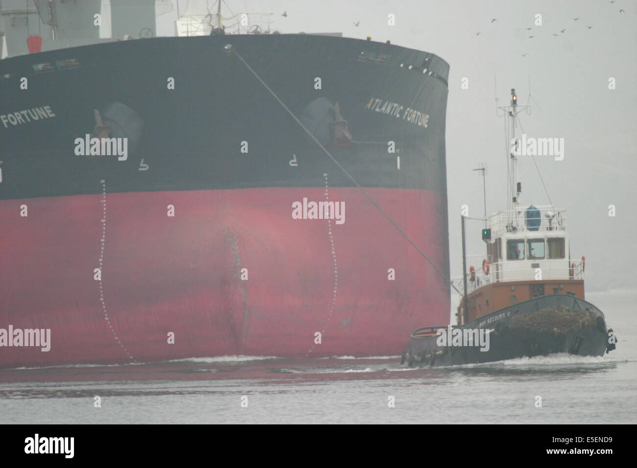 Frankreich: Normandie, Seine maritim, vallee de la Seine, Grand Port de mer de rouen, Cargo a un Terminal cerealier, remorqueur en action, Brume, hiver, Stockfoto