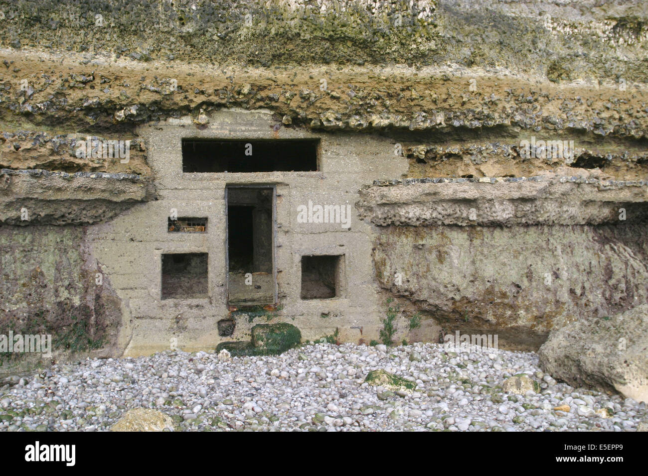 Frankreich, Normandie, Seine maritim, cote d'albatre etretat, falaise d'aval. Blockhaus dans la falaise, seconde guerre mondiale, Stockfoto