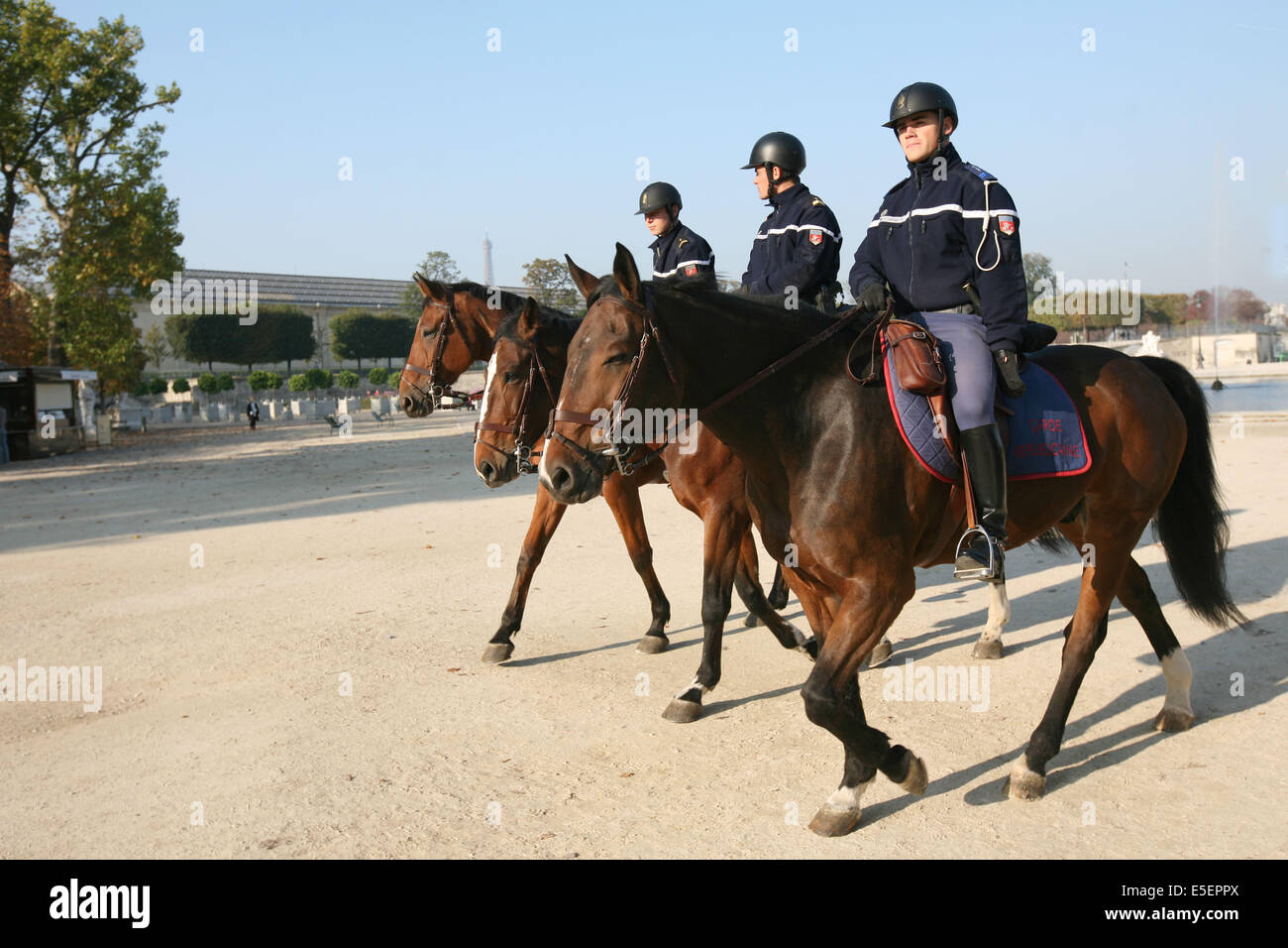 Garde republica ein cheval danbs les allees du jardin -Fotos und