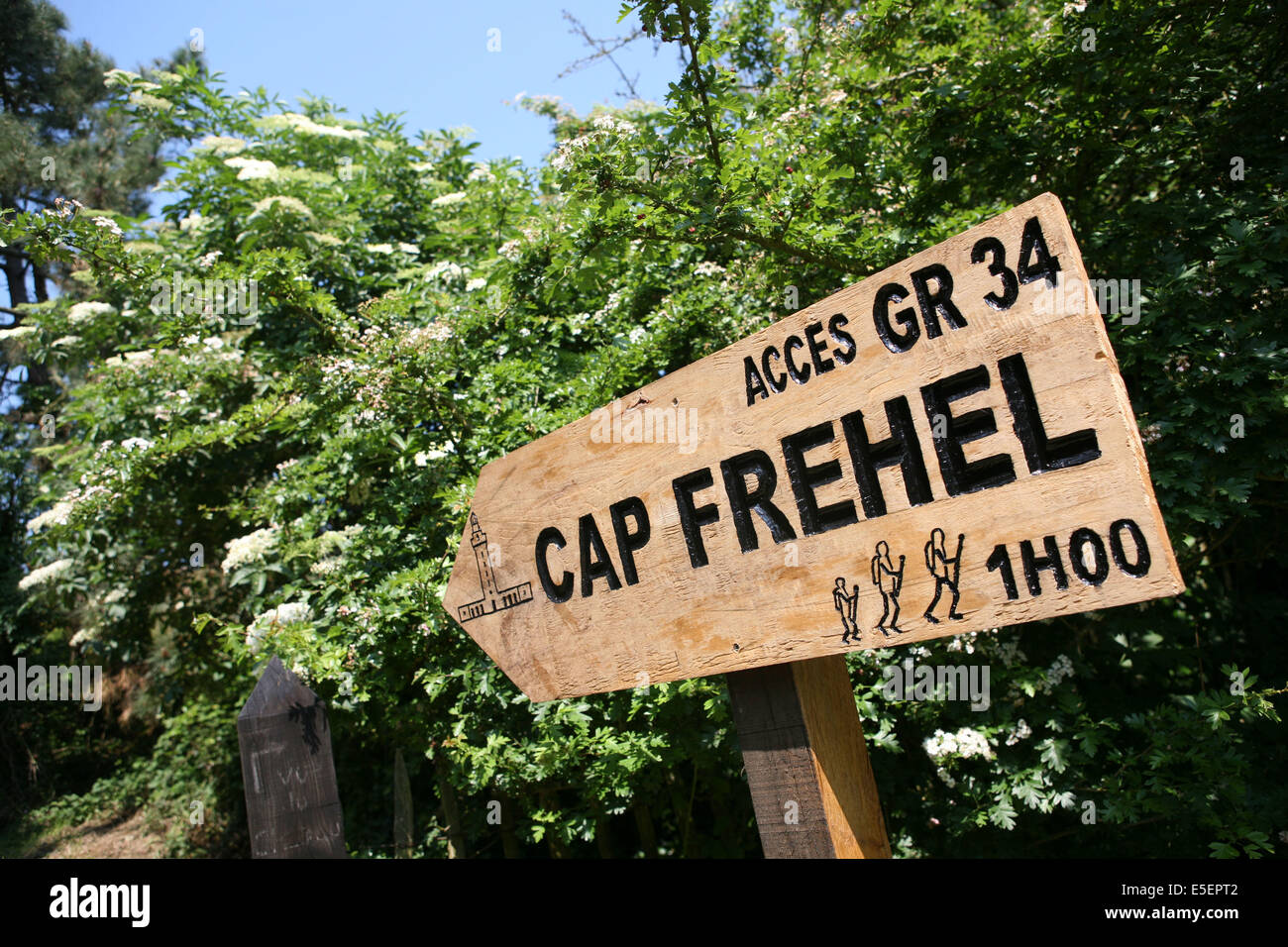 Frankreich, Bretagne, cotes d'Armour, cote d'emeraude, Cap Frehel, falaises du Cap Frehel, sentier des douaniers, chemin littoral, GR 34, randonnee, genets, ciel bleu, Paysage, Signalisierung, Panneau, Stockfoto