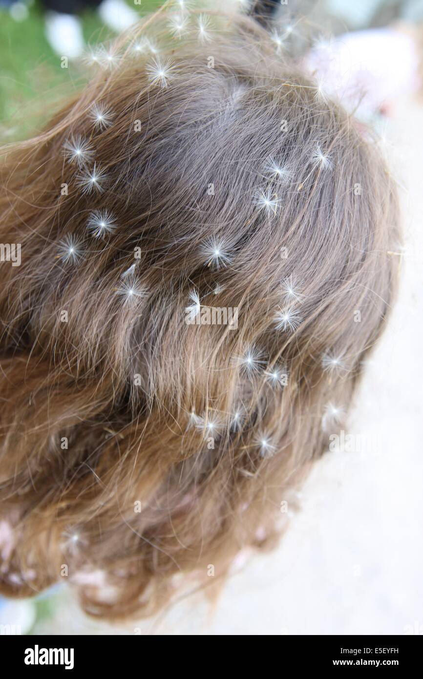 Frankreich, Haute Normandie, eure, Enfant 7 ans, graines de pisselit dans les cheveux, etoiles, Stockfoto