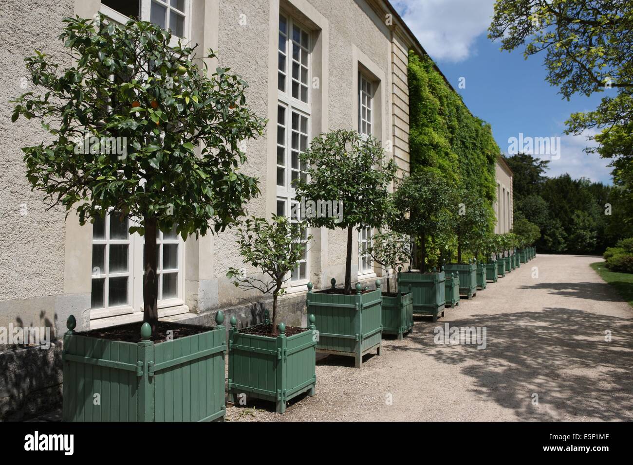 Frankreich Ile De France Yvelines Versailles Chateau De Versailles Petit Trianon Englischer Garten Orangerie Stockfotografie Alamy