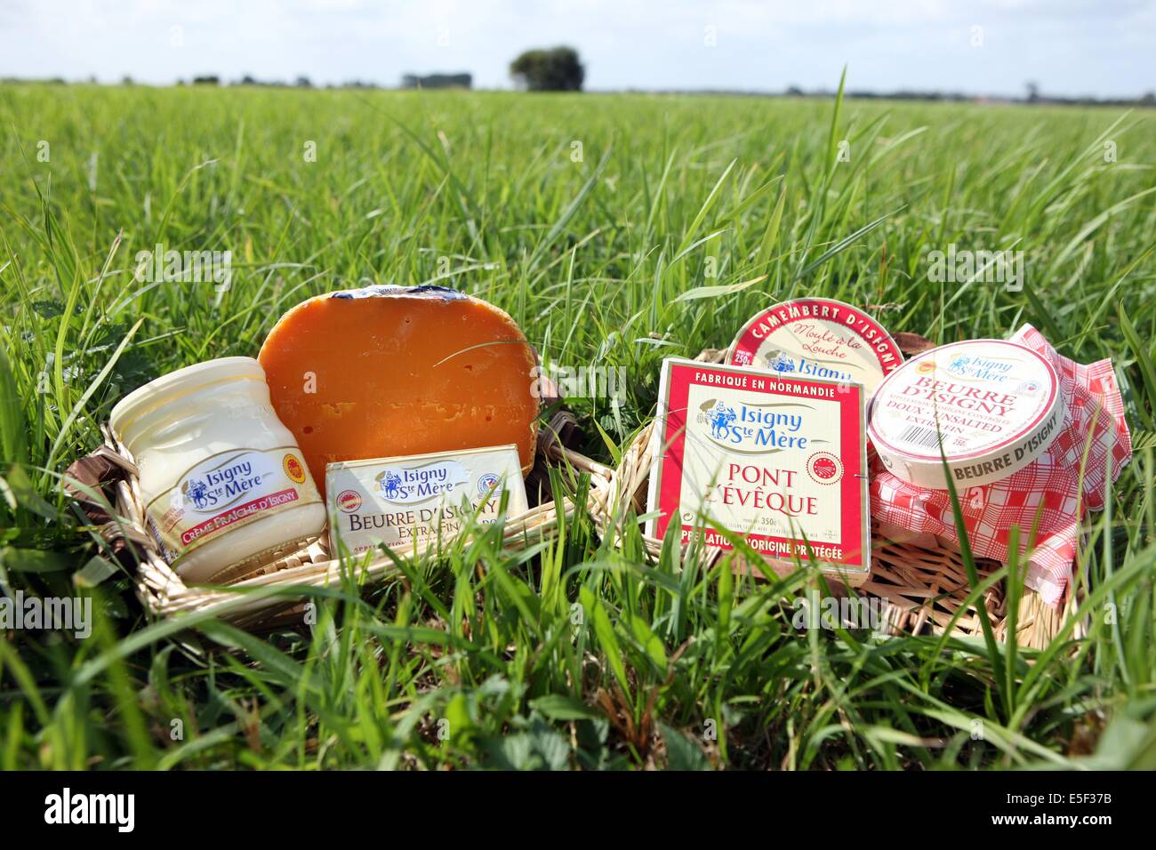Frankreich, Basse Normandie, Calvados, parc des marais du cotentin et du bessin, produits de la cooperative laitiere d'isigny, fromage, beurre, creme, mimolette, dans l'herbe, Saint germain du pert, Stockfoto