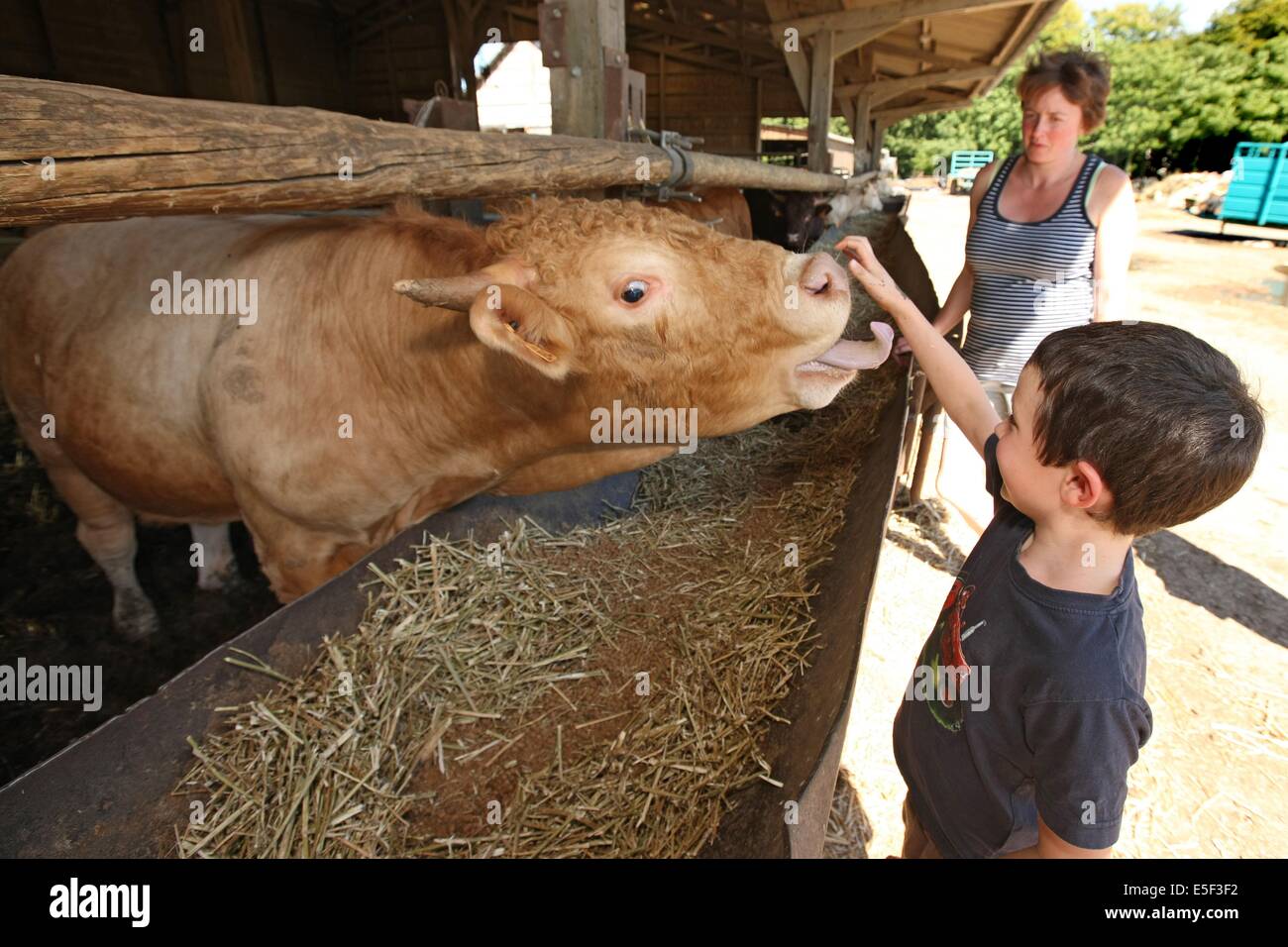 Frankreich, Haute Normandie, Seine maritim, maniquerville, la ferme normande, delphine Cousin, musee, bienvenue a la ferme, Stockfoto