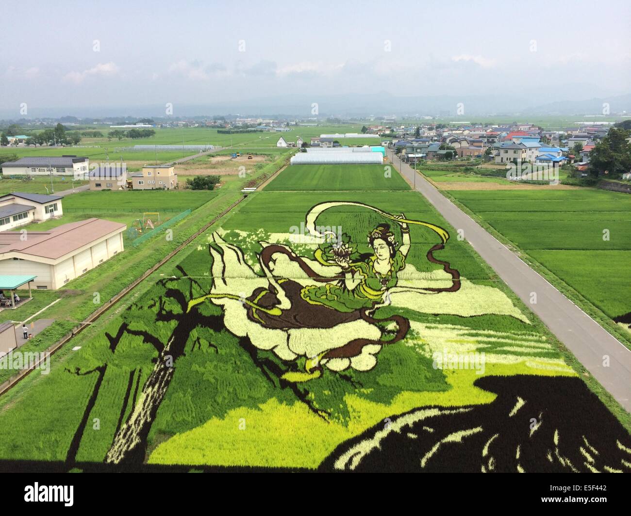 Reis-Paddy-Kunst auf dem Display in Inakadate Dorf in der Präfektur Aomori am Sonntag, 27. Juli 2014. Inakadate ist ein kleines Dorf mit 8.000 Einwohnern im Norther Japan, das Becme berühmt für Kunst in die Reisfelder zu schaffen, durch das Einpflanzen von einer Reihe von bunten Reispflanzen auf Leinwand Paddy Reis hat. Dadurch werden mehr als 200.000 Besucher in das kleine Dorf jedes Jahr anziehen. Das diesjährige Entwürfe umfassen eine Nachbildung des Mt. Fuji und eine Darstellung der Charaktere aus der beliebten japanischen Animation Sazaesan. Von Mitte Juli bis September erscheinen jedes Jahr neue Kreationen. Stockfoto