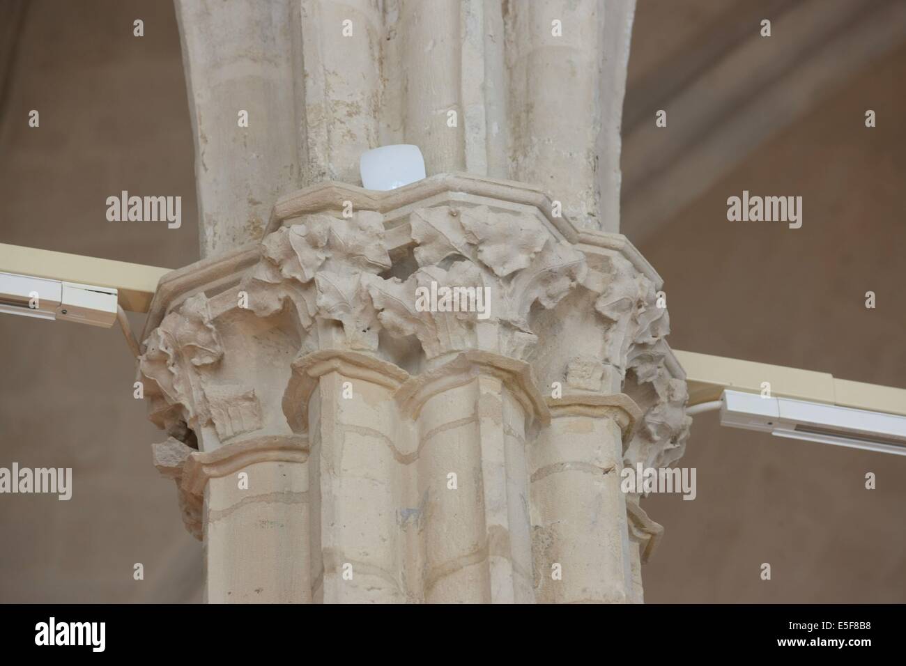 Frankreich, ile de france, pariser 5e-Viertel, rue de poissy, College des bernardins, Religion, ancienne sacristie, Detail, chapiteau. Reamenement-Partiel de Jean-Michel Wilmotte. Datum: 2011-2012 Stockfoto
