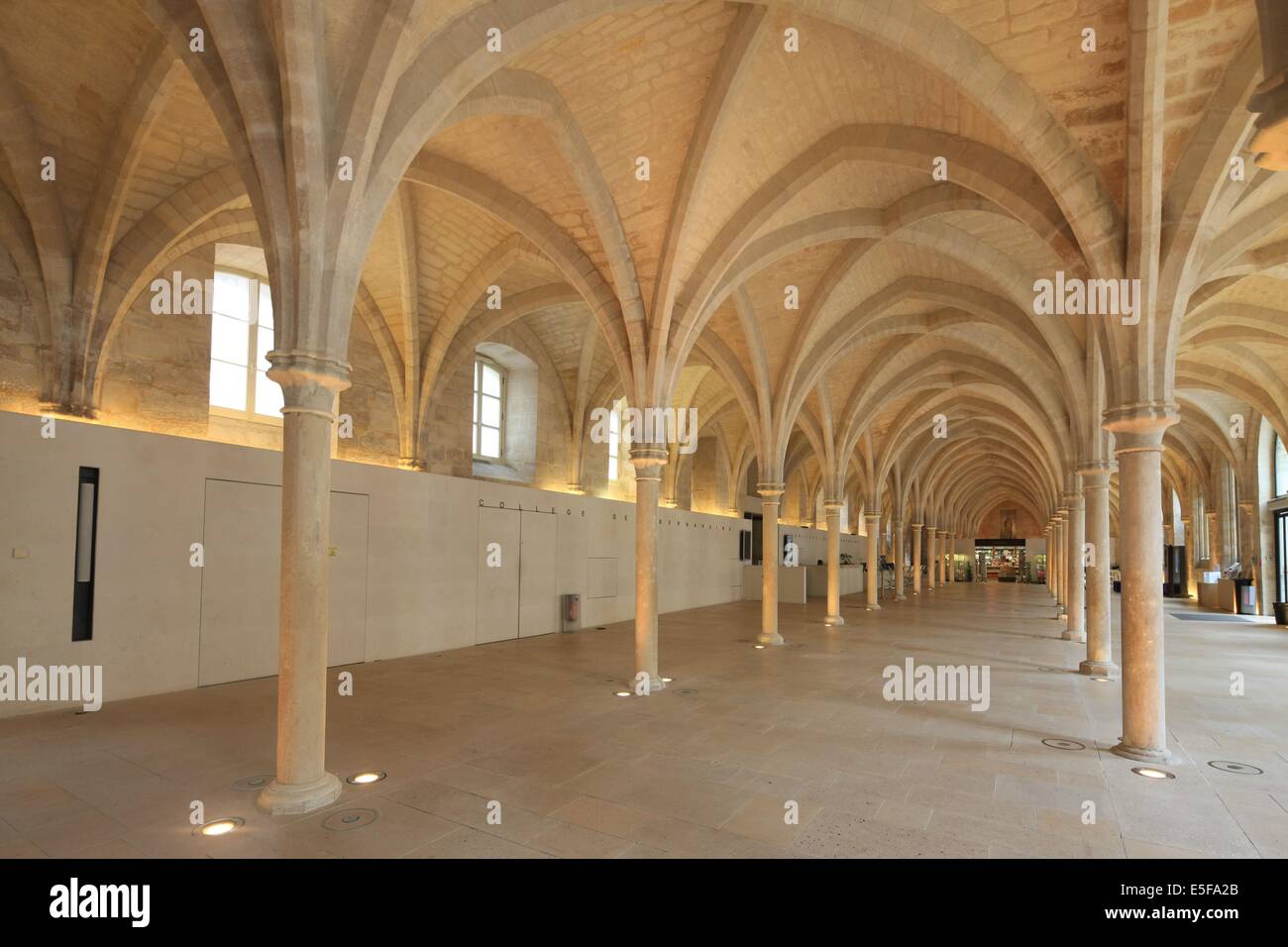 Frankreich, ile de france, pariser 5e-Viertel, rue de poissy, College des bernardins, Religion, architecte jm wilmotte, grande nef, Piliers, Voutes. Datum: 2011-2012 Stockfoto